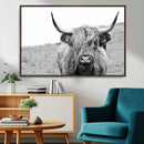 Newfoundland Cow Art Wall Art, Black White Cow Art Wall Art