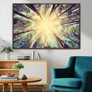 Tree and Sunshine Canvas Print