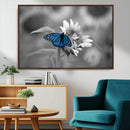 Blue Butterfly Black and White Canvas Wall Art by MyGreatCanvas | Canvas Wall Art Prints | Photo Prints & Wall Decor