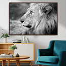 Lion Wall Art Canvas Print – Framed Majestic Wildlife by MyGreatCanvas | Canvas Wall Art Prints | Photo Prints & Wall Decor