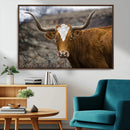 Texas Longhorn Canvas Wall Art - Longhorn Steer Canvas Wall