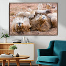 Lion Pair Wall Art Canvas Print – Framed Wildlife Scene with