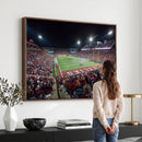 Washington-Grizzly Stadium Canvas Print, American Football