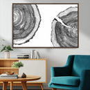 Abstract Large Tree Rings – Minimalist Black and White Wood
