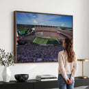 South Carolina Gamecocks Football Team Print - Columbia