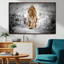 Jaguar Wall Art Canvas Print - Majestic Big Cat in Focused by MyGreatCanvas | Canvas Wall Art Prints | Photo Prints & Wall Decor