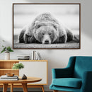 Resting Grizzly Bear Wall Art Canvas Print – Majestic Lazy by MyGreatCanvas | Canvas Wall Art Prints | Photo Prints & Wall Decor