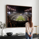 Eagles Field Stadium Wall Art - Philadelphia Eagles Football
