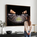 Eagles Field Stadium Wall Art - Lincoln Financial Field