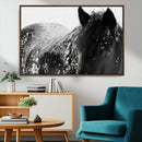 Black Horse in Snow Canvas Print | Winter Horse Wall Art |