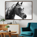 Horse Canvas Print - Winter Horse Snow Wall Art Canvas Print by MyGreatCanvas | Canvas Wall Art Prints | Photo Prints & Wall Decor
