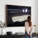 Honda Center California Anaheim Ducks Hockey Stadium Wall