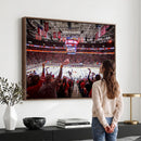 Carolina Hurricanes Ice Hockey Stadium Wall Art, Carolina