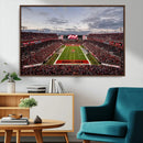 Florida Tampa Raymond James Stadium Wall Art Canvas Print -