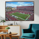 Florida Tampa Raymond James Stadium Wall Art Canvas Print -