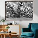 Black White Angel Oak Tree Wall Art - Timeless