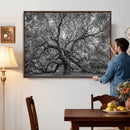 Majestic Angel Oak Tree Black and White Canvas Print – Multi by MyGreatCanvas | Canvas Wall Art Prints | Photo Prints & Wall Decor