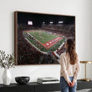 Houston Cougars Football Team Print - Houston TDECU Stadium