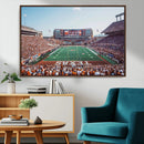 Framed Texas Memorial Stadium Canvas, University of Texas
