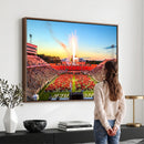 North Carolina State University Canvas Print, North Carolina