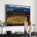 University of Illinois Fighting Illini Football Team Print -