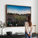 University of Charlotte 49ers Football Team Print -