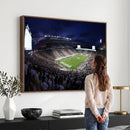 Michigan State Spartans Canvas, Framed Football Team Print -