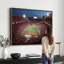 Ohio State University Buckeyes Football Team Print -