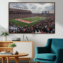Rutgers Scarlet Knights Football Team Print - SHI Stadium,