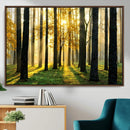 Sunlit Forest Wall Art Canvas Print – Large Framed Woodland