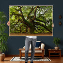 Angel Oak Tree Wall Art Canvas Print | Forest Tree Nature