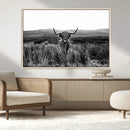 Black and White Highland Cow Canvas Wall Art, Longhorn by MyGreatCanvas | Canvas Wall Art Prints | Photo Prints & Wall Decor