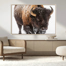 Bison Wall Art Canvas Print For Farmhouse, Wild Animal Wall by MyGreatCanvas | Canvas Wall Art Prints | Photo Prints & Wall Decor