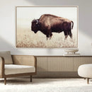 Bison in Field Wall Art Canvas Print For Farmhouse Barn