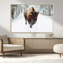 Bison Wall Art Canvas Print For Farmhouse, Animal Canvas