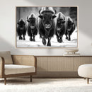 American Bison Art | Buffalo Herd Wall Art Canvas Print, BW