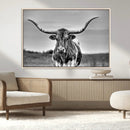 Texas Longhorn Cow Wall Art, Texas Longhorn Canvas, Cattle