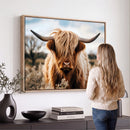 Scottish Cow Longhorn Wall Art Canvas Print