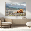 Highland Cow Horn Farm Wall Art Canvas Print