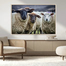 Charming Sheep Portrait Wall Art – Trio of Woolly Companions by MyGreatCanvas | Canvas Wall Art Prints | Photo Prints & Wall Decor