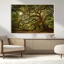 Ancient Angel Oak Tree Art Sunburst Canvas Print-