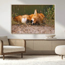 Sleeping Fox Wall Art Canvas Print, Farmhouse Wall Decor and