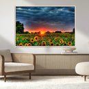 Golden Sunflower Field at Sunset – Breathtaking Sky and