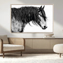 Majestic Horse Wall Art – Framed Black White Portrait Canvas by MyGreatCanvas | Canvas Wall Art Prints | Photo Prints & Wall Decor