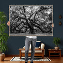 Black and White Old Angel Oak Tree Wall Art Canvas Print