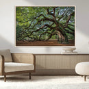 Historic Tree Wall Art – Framed Mossy Branch Canvas Artwork, by MyGreatCanvas | Canvas Wall Art Prints | Photo Prints & Wall Decor