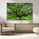 Oak Tree Wall Art Print, Forest Canvas Wall Art for Home and by MyGreatCanvas | Canvas Wall Art Prints | Photo Prints & Wall Decor
