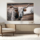 Texas Longhorn Wall Art Canvas Print – Framed Spotted Bull