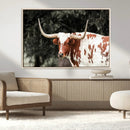 Texas Longhorn Wall Art Canvas Print – Framed Spotted Bull