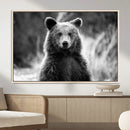 Grizzly Bear Wall Art Canvas Print – Framed Black White